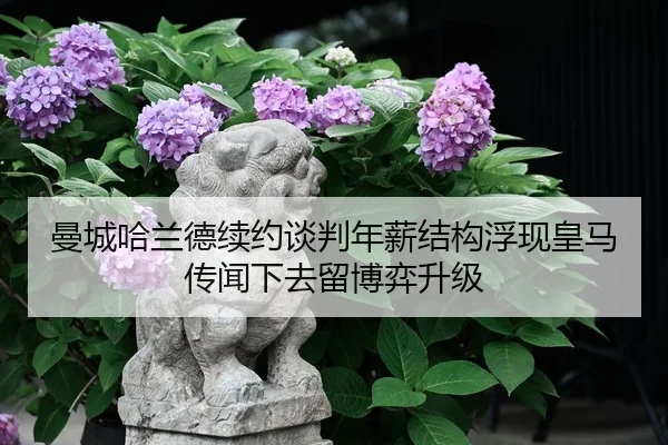 man-cheng-ha-lan-de-xu-yue-tan-pan-nian-xin-jie-gou-fu-xian-huang-ma-chuan-wen-xia-qu-liu-bo-yi-sheng-ji-2-999.jpg
