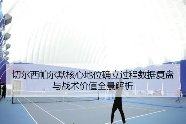 qie-er-xi-pa-er-mo-he-xin-di-wei-que-li-guo-cheng-shu-ju-fu-pan-yu-zhan-shu-jia-zhi-quan-jing-jie-xi-2-303.jpg
