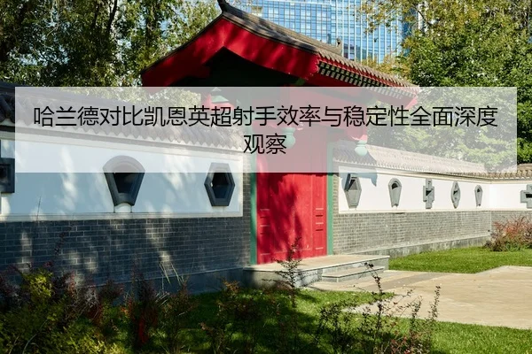 哈兰德对比凯恩英超射手效率与稳定性全面深度观察