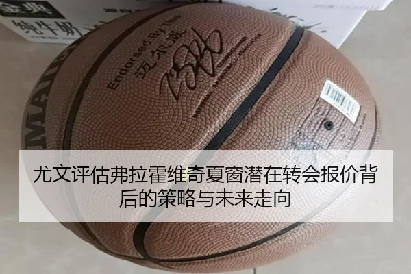 尤文评估弗拉霍维奇夏窗潜在转会报价背后的策略与未来走向